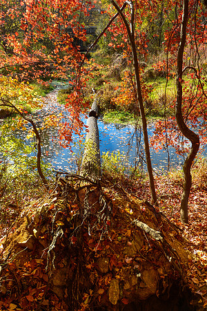 Black River County Park, New Jersey