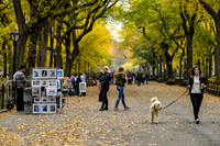 Central Park, New York