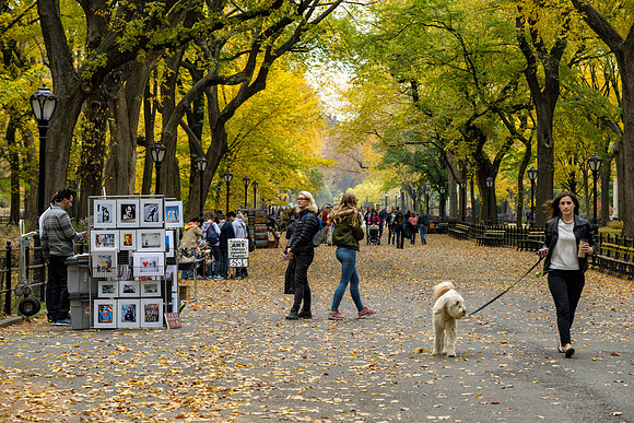 Central Park, New York