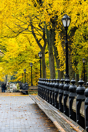 Central Park, New York