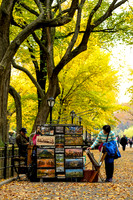 Central Park, New York