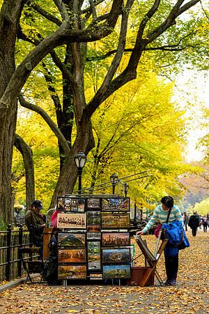 Central Park, New York