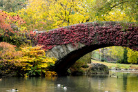 Central Park, New York