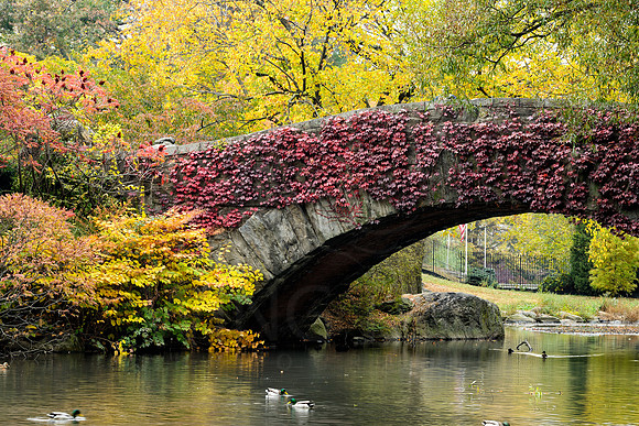Central Park, New York