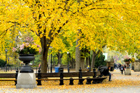 Central Park, New York