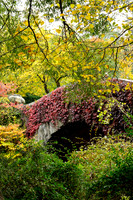 Central Park, New York