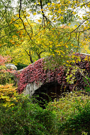 Central Park, New York