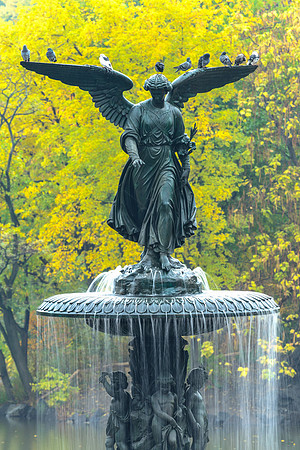 Angel of Water, Central Park, New York
