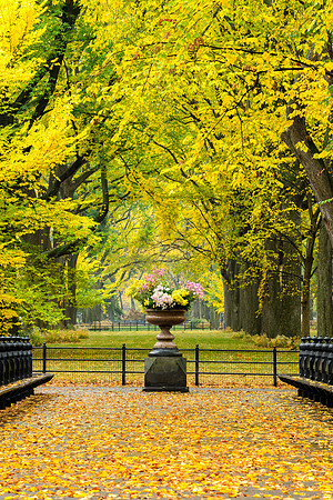 Central Park, New York