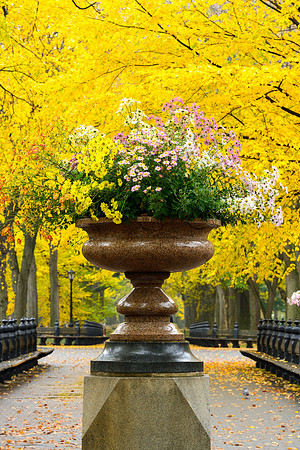 Central Park, New York