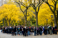 Central Park, New York