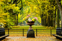 Central Park, New York