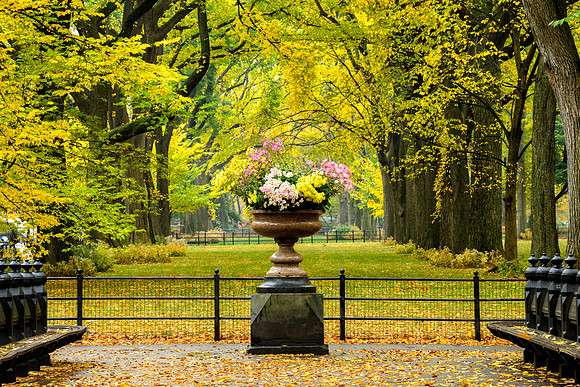 Central Park, New York