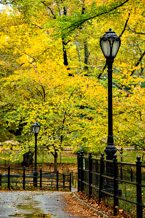 Central Park, New York
