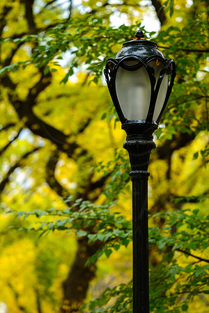 Central Park, New York