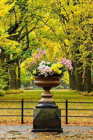Central Park, New York
