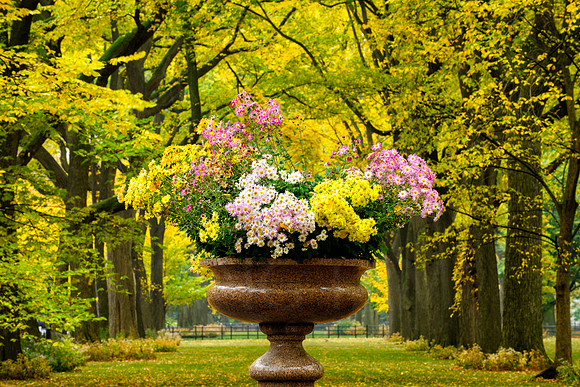 Central Park, New York