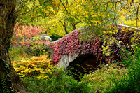 Central Park, New York