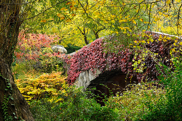 Central Park, New York