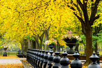 Central Park, New York