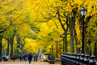 Central Park, New York