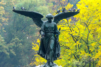 Angel of Water, Central Park, New York