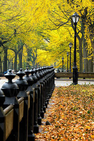 Central Park, New York