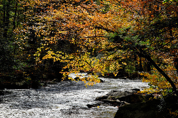 Hacklebarney State Park, New Jersey