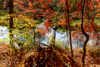 Black River County Park, New Jersey