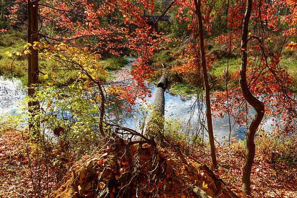 Black River County Park, New Jersey