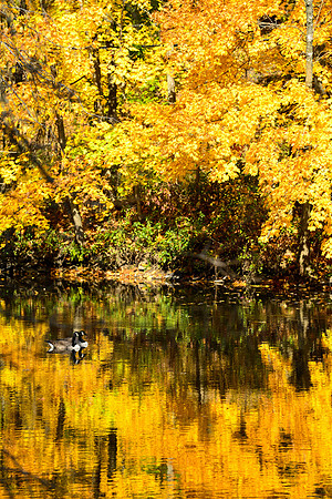 Delaware & Raritan Canal State Park, New Jersey