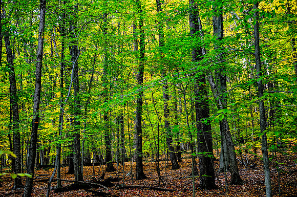 Pyramid Mountain, New Jersey