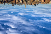 The New World
