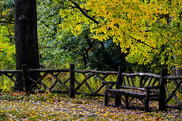 Central Park, New York