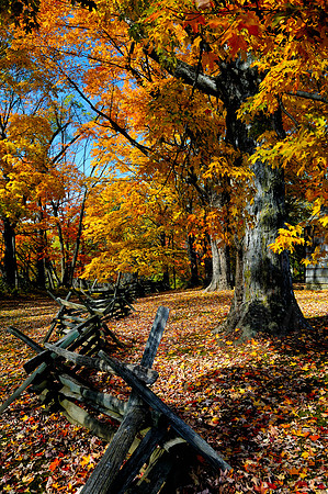 Morristown National Historical Park, New Jersey
