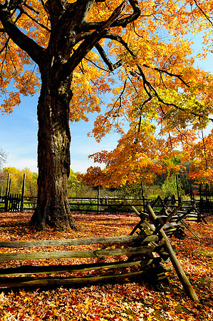 Morristown National Historical Park, New Jersey