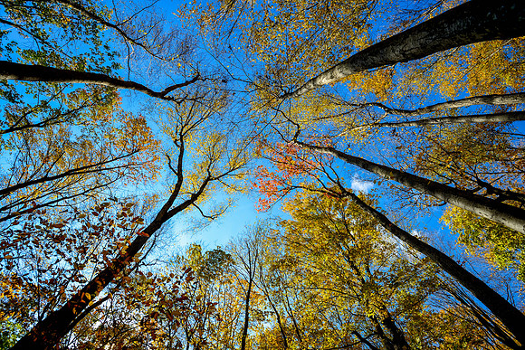 Pyramid Mountain, New Jersey