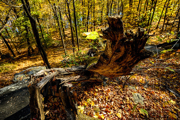 Pyramid Mountain, New Jersey