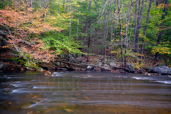Hacklebarney State Park, New Jersey