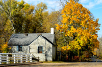 Fall Foliage
