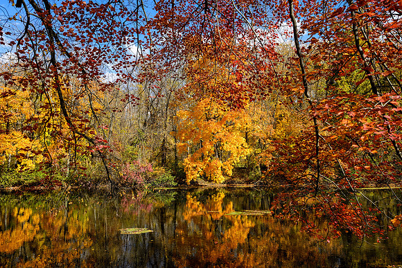 Delaware & Raritan Canal State Park, New Jersey